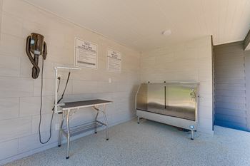 Pet grooming station 
